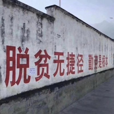 xiexie9856's profile picture. 世人慌慌张张，不过为碎银几两