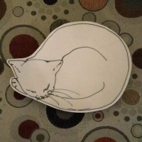 Claire Cameron (@clairec_biostat) 's Twitter Profile