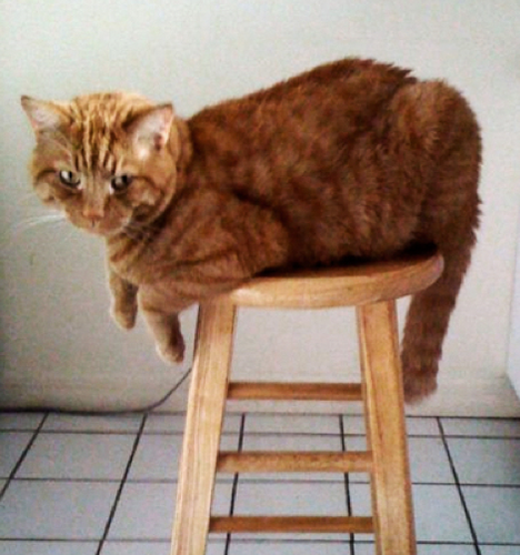 aerynmarie's profile picture. creative lady living in the city that never sleeps