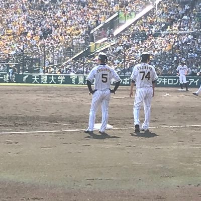 東京社会人02(01) 阪神ファンです🐯 #5 現地の時はインスタ！ 2023現地12勝7敗 2024年現地1勝2敗　現地予定5/11,31,6/1,2,8/10,11,9/15,16,22