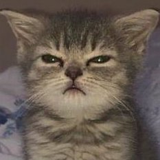 logycxd's profile picture. win some lose most