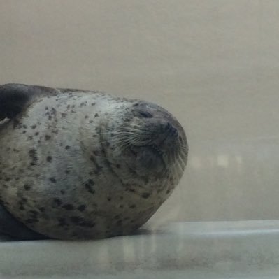 b_masaru's profile picture. 