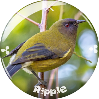 Keiki@(公式)ながさきコイン® (@keiki_xrp) 's Twitter Profile Photo Keiki@(公式)ながさきコイン® (@keiki_xrp) 's Twitter Profile Photo