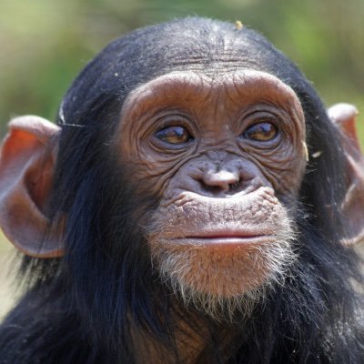 m5Pl3Yr5ouYnRm5's profile picture. ハゲ治療してます。
セックス大好き