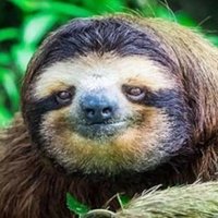 Joe Blow (@gimpuslegend) 's Twitter Profile