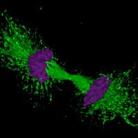 Anna Randi Lab (@labanna) 's Twitter Profile Photo Anna Randi Lab (@labanna) 's Twitter Profile Photo