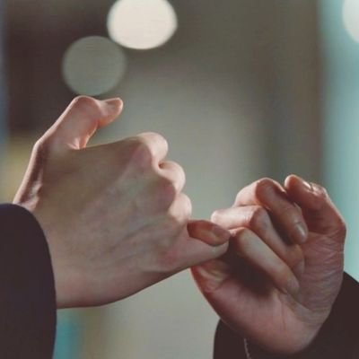 SquirrelOcean's profile picture. lost sheep