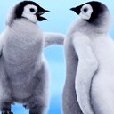 Sophia Meyer - @SophiaMeyer1 - Twitter