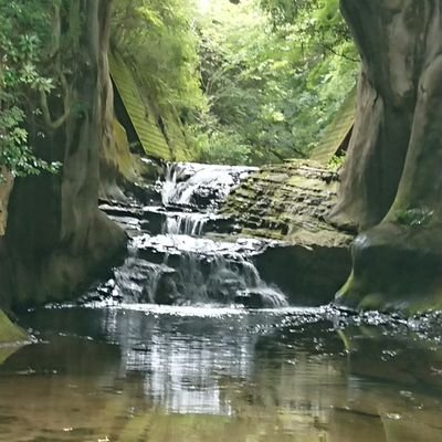 naokoy21561298's profile picture. 春馬君は永遠の推し♡沢山の作品は全て大切な宝物♡一度は辞めたtwitterだけどまた新しく始めました！🧡💚ゆずっこ🧡💚北川悠仁さま🧡息子の影響でサッカーも大好⚽小野伸二⚽️内田篤人⚽️中村敬斗⚽️Hawaiiに住みたい🌴🌺ゆずのLIVEは最高すぎる♡今を楽しむ