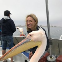 MARIE LAURE CITTANOVA (@cittanovalaure) 's Twitter Profile