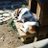 itouoti_iot's profile image