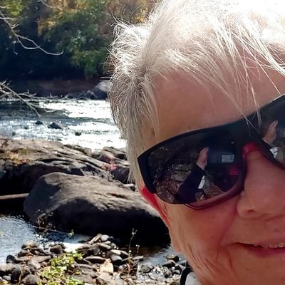 ladee_j's profile picture. retired ER nurse, passion for politics, fiscally conservative,   traveling grandma...love my family and friends. voted for @PierrePoilievre