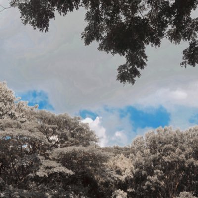 Weffy12's profile picture. 