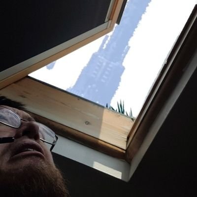 DanAndHisMinis Profile Picture