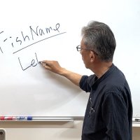 東南アジアの魚飼い (@profdrsenoo) 's Twitter Profile Photo 東南アジアの魚飼い (@profdrsenoo) 's Twitter Profile Photo