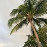 cbared's profile picture. Do good. Be good. #Bitcoin husband, father, former CEO 🐄 https://t.co/07fQeqWLBs, now full time HODLr, founder @3e11mining 🏄‍♀️ 🪁 ⛷ 🌊 🏝 🏔 ⚽️ 🎾