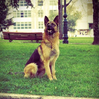 adrisons89's profile picture. Poker