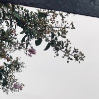 nori (@uxvu7x) 's Twitter Profile
