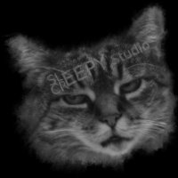 SleepyCreepyStudio🎮🏰 (@slcreepystudio) 's Twitter Profile Photo SleepyCreepyStudio🎮🏰 (@slcreepystudio) 's Twitter Profile Photo