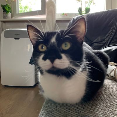 Epibreren_'s profile picture. 