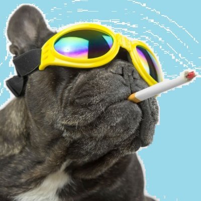 DavePills's profile picture. Yorkshireman born and bred