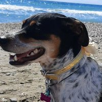 Daniela (@daniela01216486) 's Twitter Profile