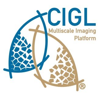 ILH / CIGL Multiscale Imaging Platform