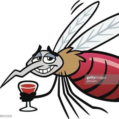 mosquitoastic Profile Picture