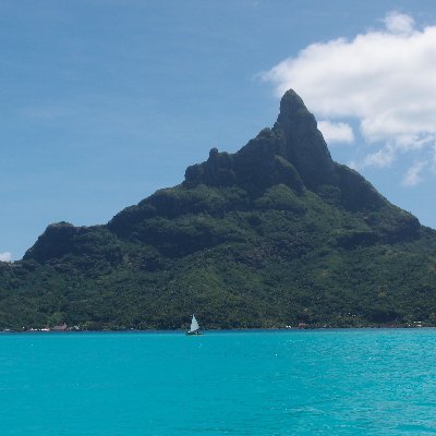 ns_pediatrician's profile picture. 小児科医の休憩室
メインアカウント(@nuno40801)ではツイートするほどではない内容をツイートします