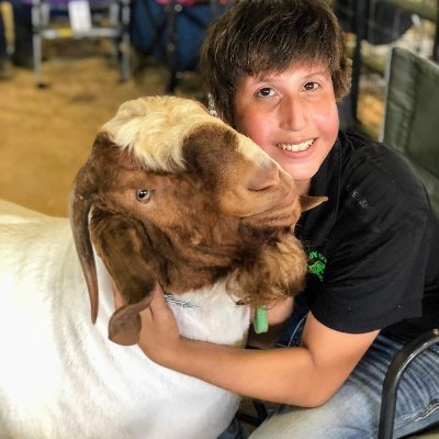 GiLivestock's profile picture. OFFICIAL GILCA - GI Livestock Complex Authority. World-Class livestock show & performance complex. Featuring climate-controlled barns & easy access off NE I-80.
