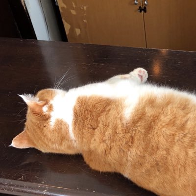 凪さんのプロフィール画像