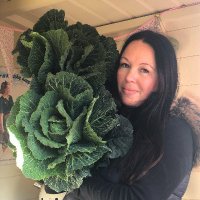 Allotment Haven (@allotmenthaven_) 's Twitter Profile