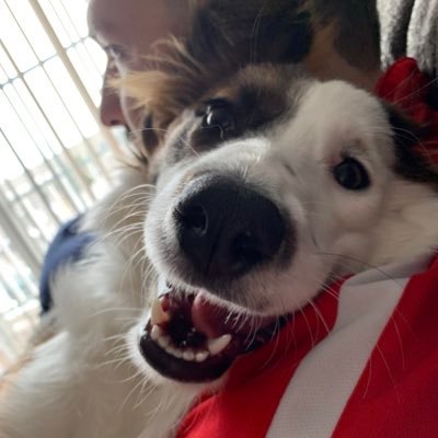 danielsan145's profile picture. Always have and always will be proud to be part of the Pack.. my family. #retired