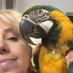 Kim Papineau (@kimb1rd) Twitter profile photo Kim Papineau (@kimb1rd) Twitter profile photo