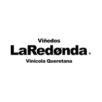 Viñedos La Redonda(@vinoslaredonda) 's Twitter Profile Photo