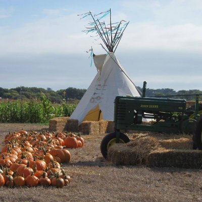 A family run pumpkin farm that provides a fun family atmosphere in a relaxing country setting where everyone is welcome!