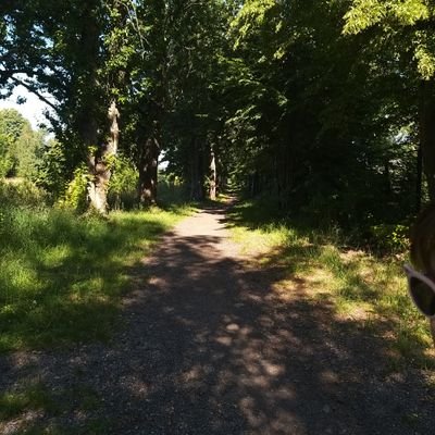 Aneta60587643's profile picture. 