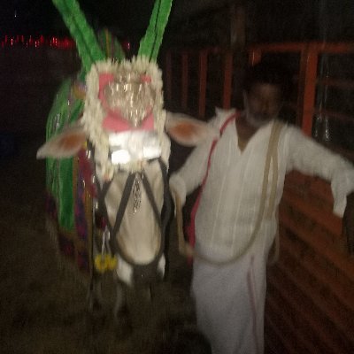 naveens21840484's profile picture. dsrthfccvbcxvnbxfbhccfhhxvbjx.  bhvhxjgggnmvjvbkbbcjhgxbgcdsdAAAAASSEEWWERRTTTGGGGGGYGYYGCGVBBHJJVVVVBBVCVGHJHVMMKKIUTTYIUTDERUUYTYU98I9OOO9999OOOOOOOOOOOOOOOOO