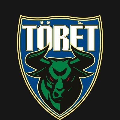 ToretProClub's profile picture. 🇮🇹 Törét Pro Club - Since 2021 

⚽ Official Pro Club Team @ChieriESports

Team composto prevalentemente da Torinesi e da giocatori di altre parti del Piemonte