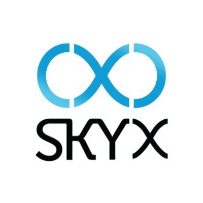 SkyX arms infrastructure asset companies across the globe with unique, actionable, long range aerial data on an ongoing basis. Founded in 2016.