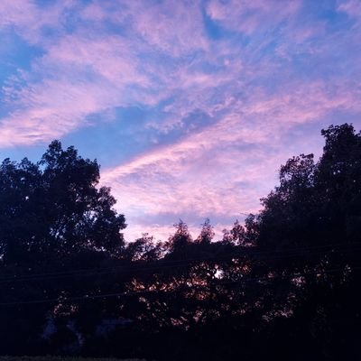 lwdb's profile picture. 