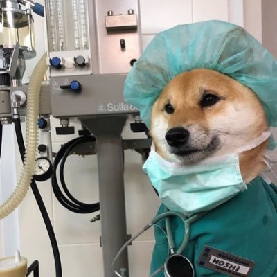 medstudent04's profile picture. 🇮🇱✡️🕊️