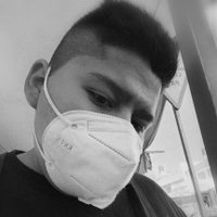 Gabriel RL (@lobitovv) 's Twitter Profile