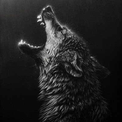 michaelB0088's profile picture. 