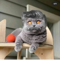 Pyan_8607 (@8607pyan) 's Twitter Profile