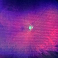 Christian Danger (@xtiandanger) 's Twitter Profile Photo