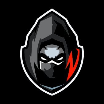 Rogue Scripts Profile