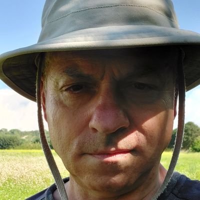 🇮🇹 🇬🇧 🇪🇺. @Unipisa. Analogue at birth, digital by design. Cancer Research UK Ambassador. #CRUK. All views my own.Esule (volontario) in attesa di ritorno.