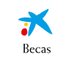 Becas Fundación 'la Caixa' (@BecariosFLC) Twitter profile photo