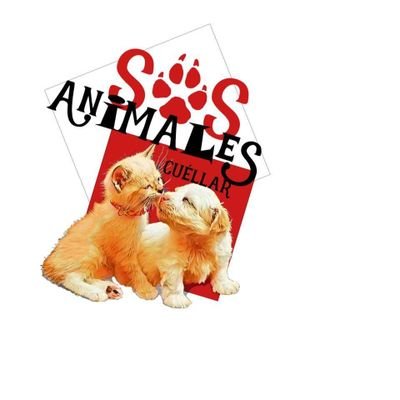 Somos una asociación protectora de animales sin refugio. Funcionamos con casas de acogida y donaciones. Ahora hacemos socios. +Info sosanimalescuellar@gmail.com